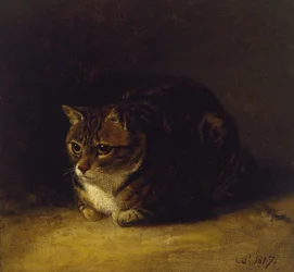Study of a Cat, 1817